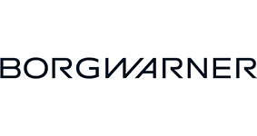 BorgWarner Dixon LLC