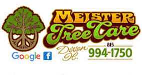 Meister Tree Care